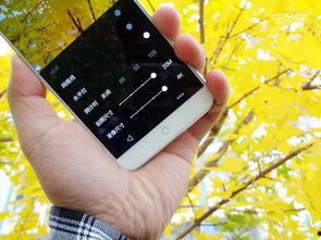 手机看片在线国产